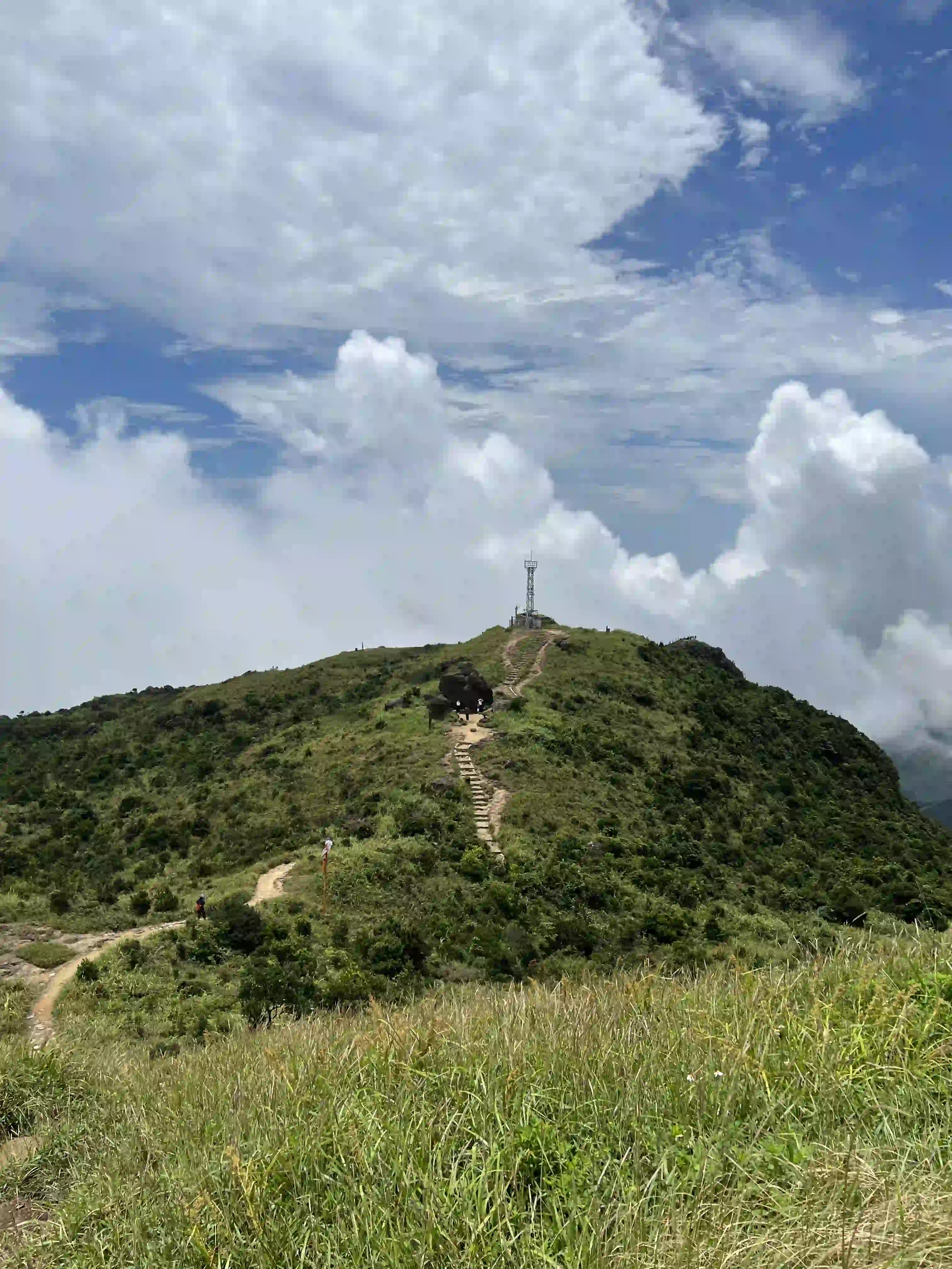 七娘山-山顶