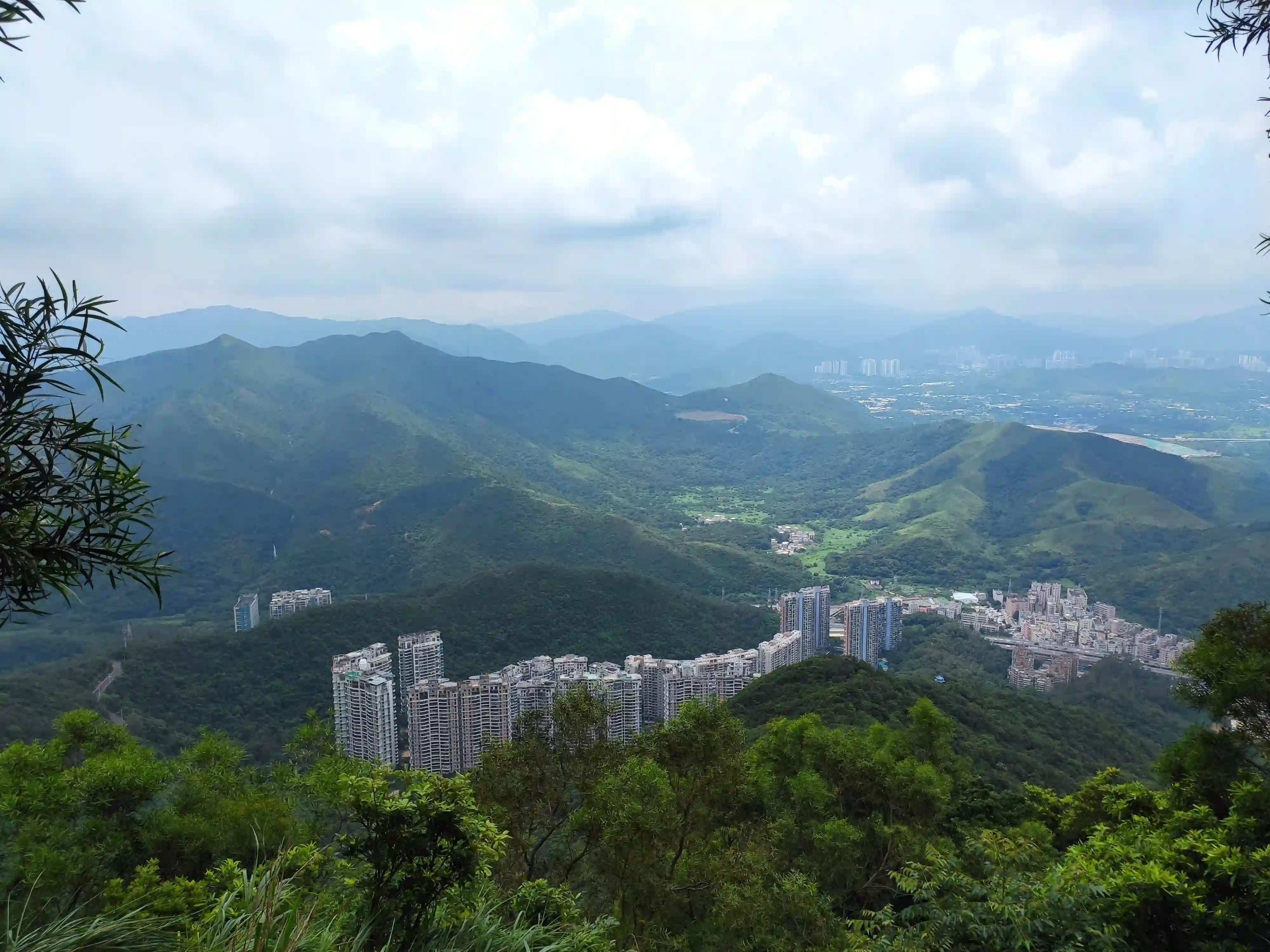梧桐山-俯瞰