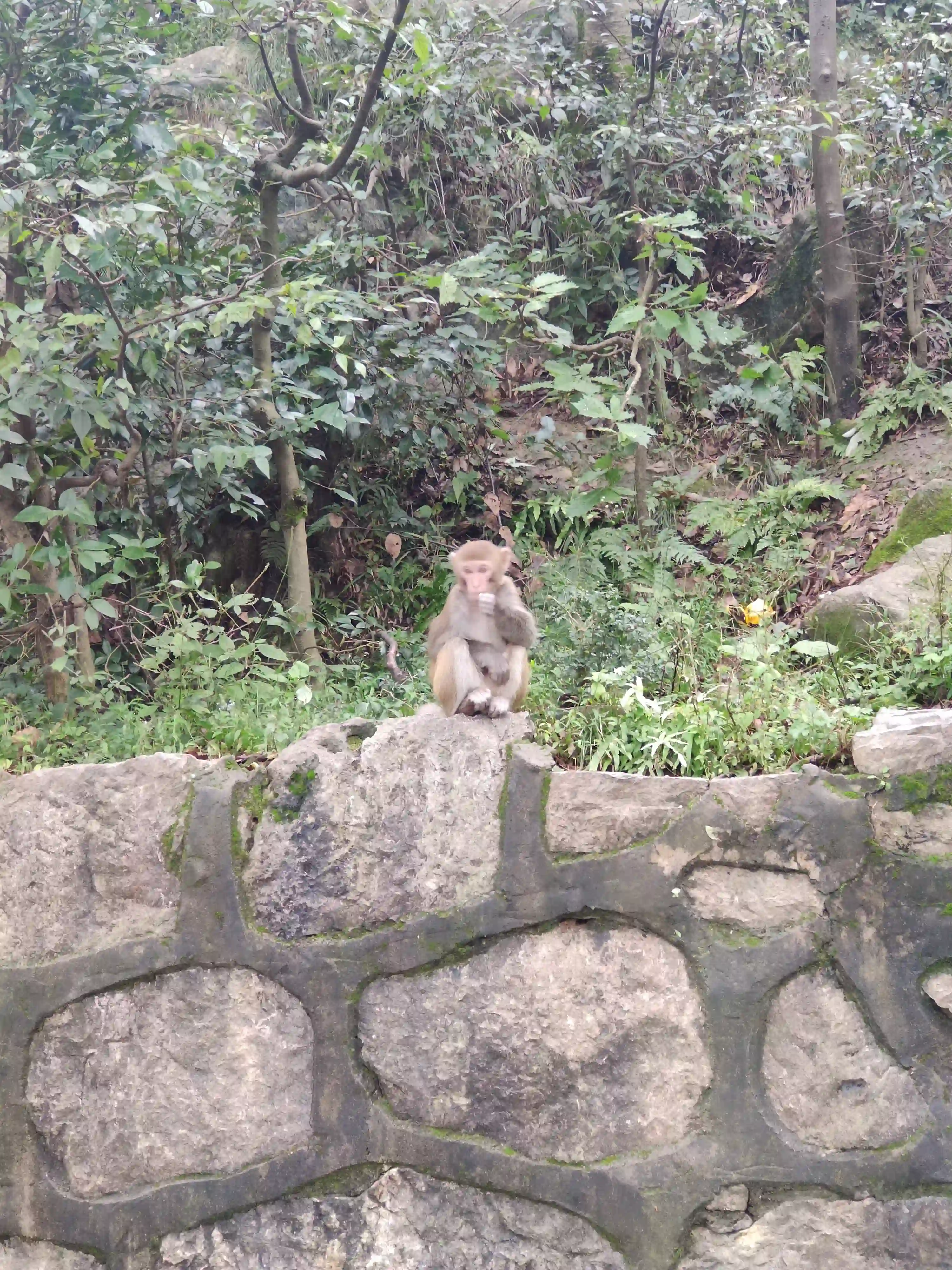 路边吗喽